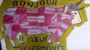 Pancarte : Bonjour le boeuf aux hormones !